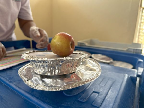 Incentivo do Governo de Minas leva alimentação saudável e gratuita para mais de 9 mil famílias