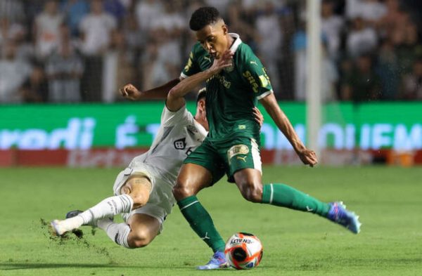 Santos x Palmeiras (foto: Cesar Greco/Palmeiras/by Canon)