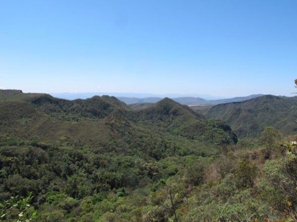 Minas Gerais reduz em 25% o desmatamento na Mata Atlântica