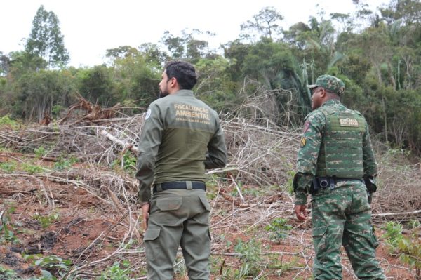 Operação ‘Mata Atlântica em Pé’ aplica mais de R$ 9 milhões em autuações por crimes ambientais