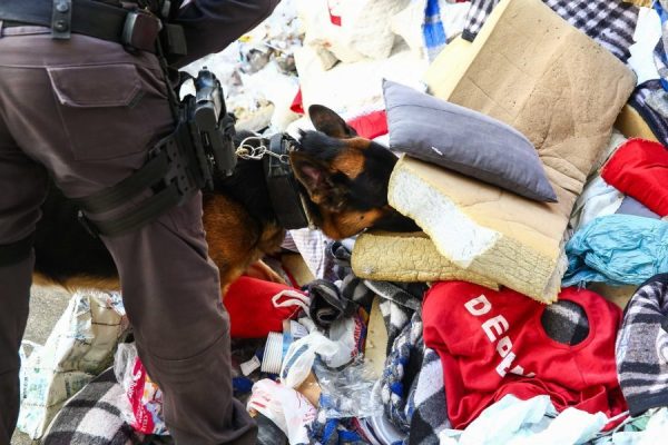 Operação da Polícia Penal fecha a semana com apreensão de 145 pontos de drogas K