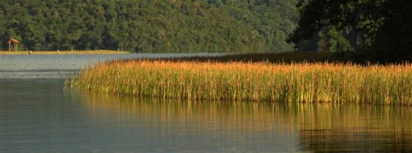 Parceria garante aperfeiçoamento dos serviços de visitação e de preservação ambiental no Parque Estadual do Rio Doce