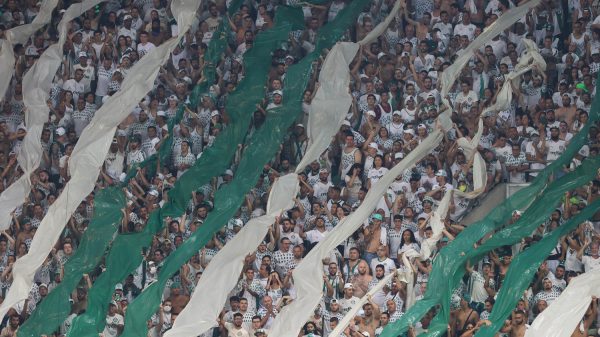 A torcida da SE Palmeiras, em jogo contra a equipe do C Athletico Paranaense, durante partida válida pelas finais, volta, da Recopa Sul-Americana, na arena Allianz Parque. (Foto: Cesar Greco)