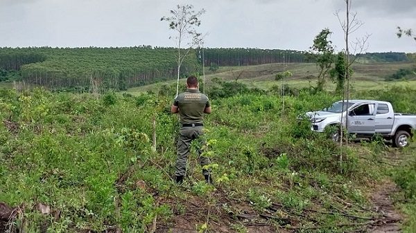 Fiscalização ambiental fecha 2023 com 52 mil ações realizadas