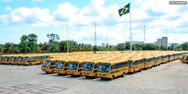 Prazo para envio das informações da 1ª etapa de Implantação do Sistema Transcolar Rural foi prorrogado