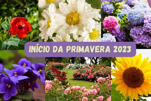 Primavera começa neste sábado, 23 de setembro de 2023