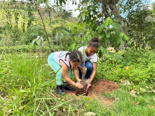 Programa ‘Usiminas Mobiliza Todos pela Água’ recupera nascentes e transforma vida de comunidade