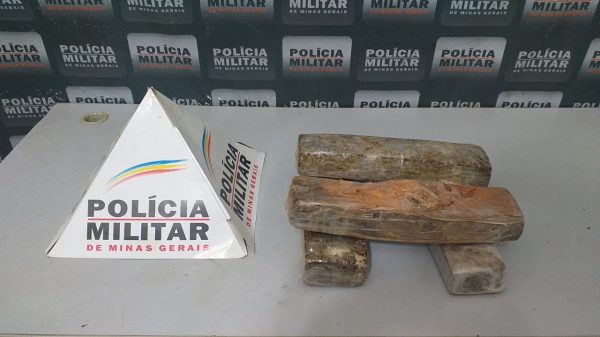 Quatro barras de maconha são encontradas pela PM em pasto de gado, em Governador Valadares