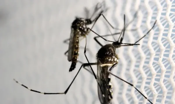 Rio de Janeiro registra caso de dengue tipo 4