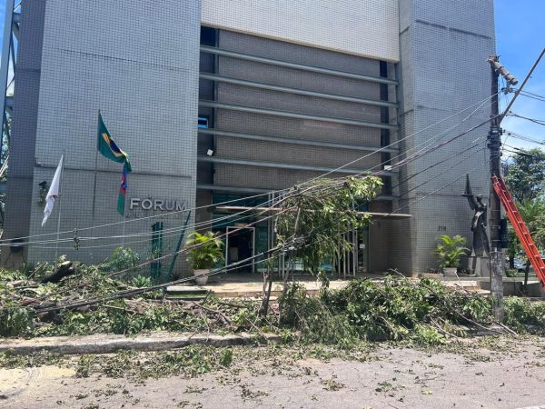 Temporal com rajadas de vento causa estragos em Ipatinga; FOTOS