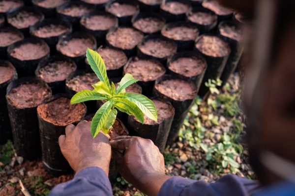 Usiminas está no Índice de Sustentabilidade da bolsa de valores para 2024