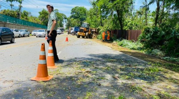 VENDAVAL: Dia de limpeza das vias em Ipatinga. Cemig desligou a energia nos trechos afetados