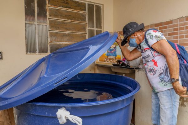 Infestação do Aedes aegypti em Governador Valadares sobe para 4,6%; risco de epidemia é classificado como alto | Vales de Minas Gerais