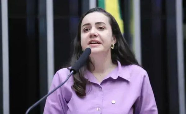 Câmara aprova projeto que garante ensino remoto para gestantes e lactantes