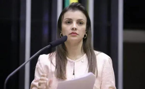 Câmara dos Deputados avalia a proposta do Dia Nacional do Alho Brasileiro