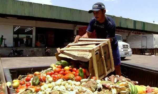 Pesquisa traz dicas sobre como reduzir desperdício de alimentos