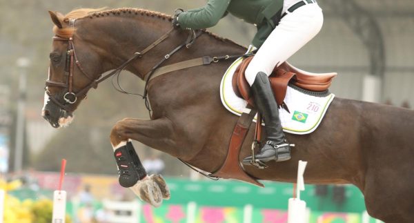 Clube do Cavalo de Timóteo inicia Escolinha de Equitação em abril