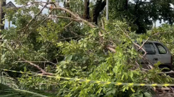 Temporal: Cemig recebe 90 ocorrências de falta de energia em Ipatinga