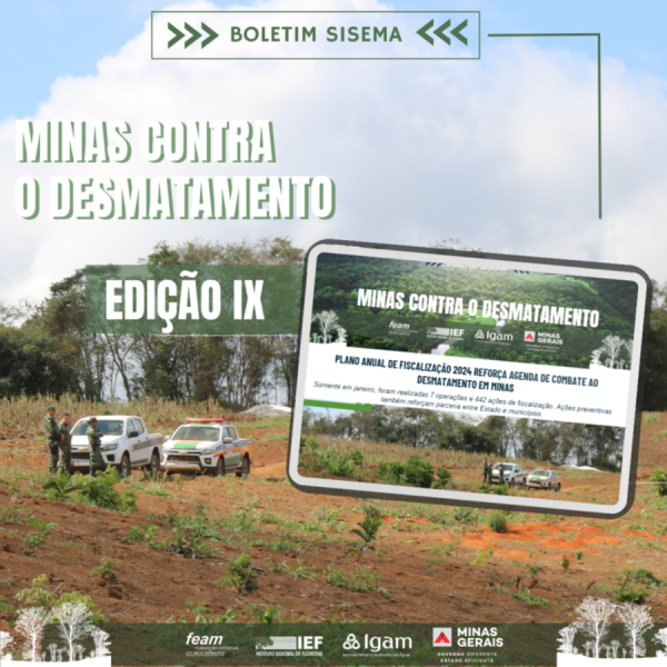 Meio Ambiente estadual reforça combate ao desmatamento em Minas