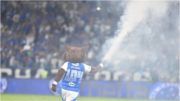 Raposinho celebrando triunfo do Cruzeiro sobre o Palmeiras no Mineiro (foto: Ramon Lisboa/EM/D.A. Press)