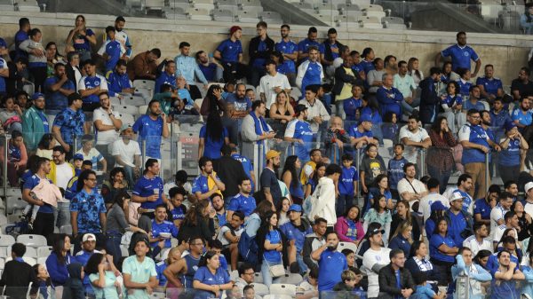 Torcida do Cruzeiro no Mineiro, em Belo Horizonte (foto: Alexandre Guzanshei/EM/D.A. Press)