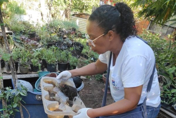 Novo LIRAa aponta queda  acentuada da infestação de  Aedes aegypti em Ipatinga