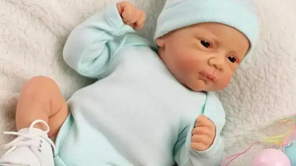 Ex-casal entra em disputa legal sobre guarda de bebê reborn e Instagram