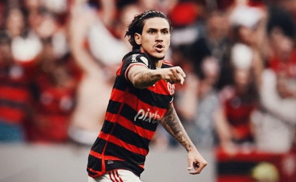Pedro comemora gol pelo Flamengo diante do Cricima (foto: Divulgao/Flamengo)