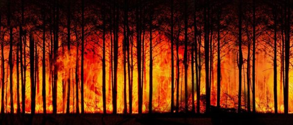 Semad divulga municípios selecionados para programa de combate às mudanças climáticas