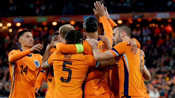 Seleo da Holanda comemora gol na Eurocopa (foto: Divulgao/KNVB)