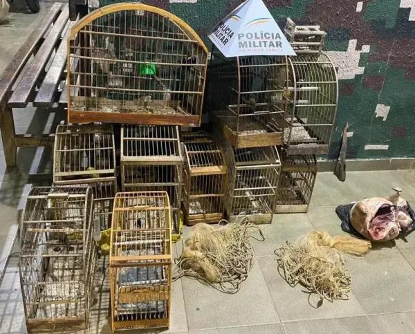 Homem preso em Bugre com arma, munições e animais silvestres abatidos