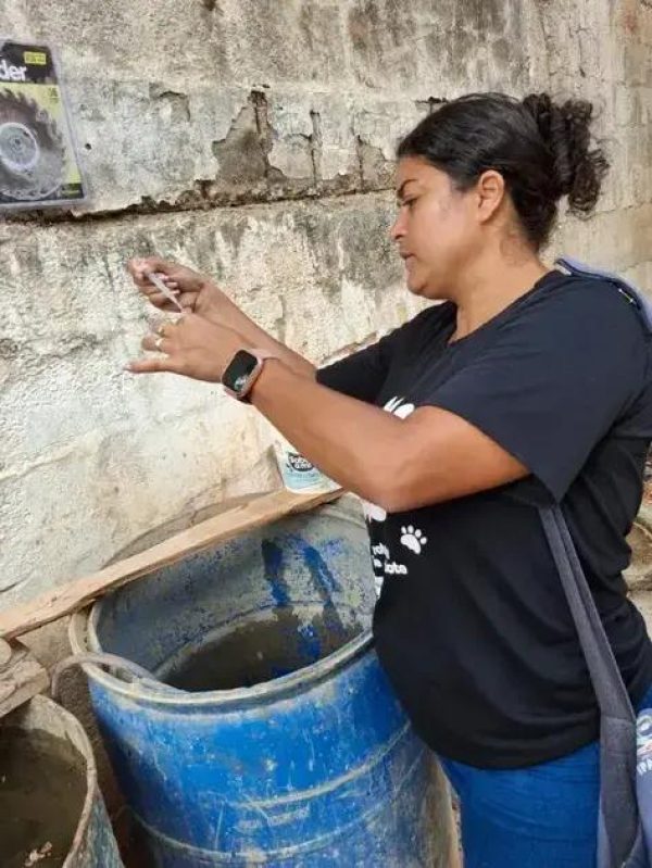 Ipatinga registra queda no índice de Aedes aegypti, mas mantém alerta
