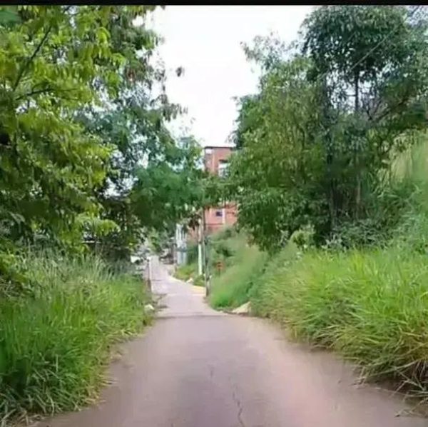 Moradora pede limpeza urgente em rua cheia de mato em Fabriciano