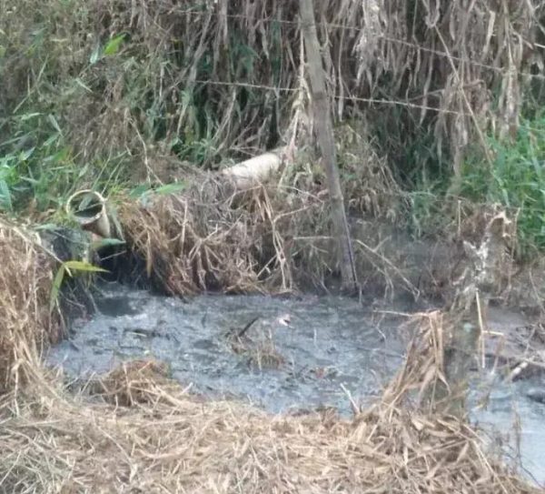 Moradores de Cocais de Baixo relatam transbordamento de esgoto em Coronel Fabriciano