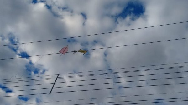 Homem morre eletrocutado ao tentar retirar pipa de rede elétrica em Periquito | Vales de Minas Gerais