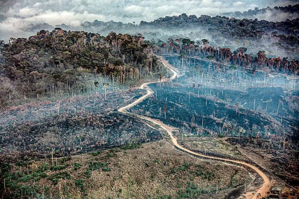 Sob governo Lula, Amazônia registra em junho maior número de queimadas em 16 anos