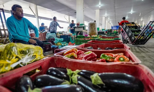 Preços da batata, banana e melancia caem no Brasil