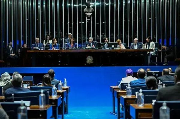 Senado homenageia instituições na defesa da vida e contra o aborto