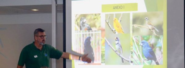 Fiscais ambientais participam de treinamento para identificação de fraudes em anilhas de aves  