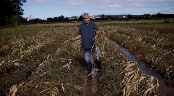 Agro estima perdas de R$ 3 bi no RS