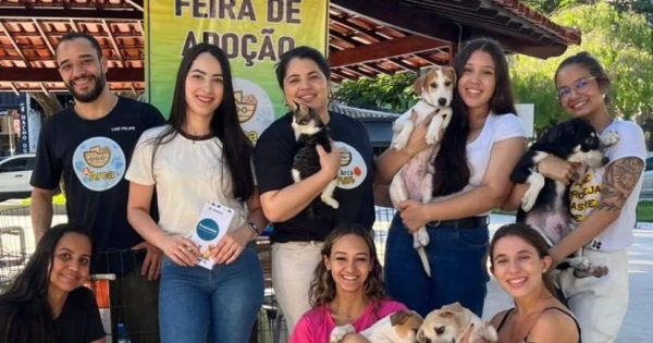 Evento de adoção de cães movimenta praça do Cidade Nobre, em Ipatinga