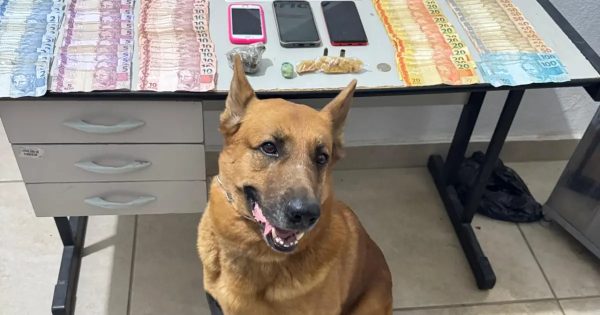 Oito presos pela PM durante operação policial no Veneza, em Ipatinga