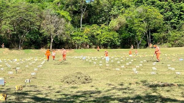 Prefeitura de Ipatinga abre inscrição para aquisição de 59 novos jazidos perpétuos