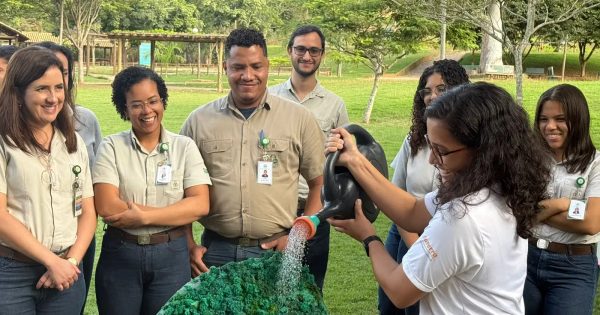 Ações de conscientização ambiental mobilizam colaboradores de empresa no Vale do Aço