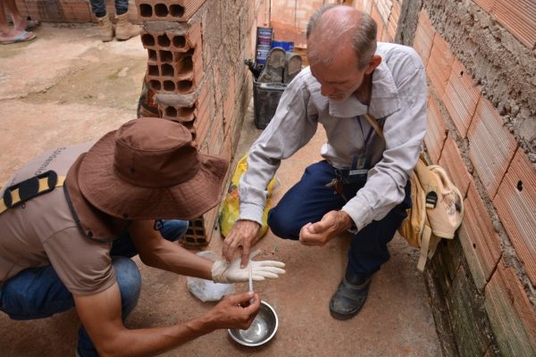 4º LIRAa de Governador Valadares aponta infestação 4,9% | Vales de Minas Gerais