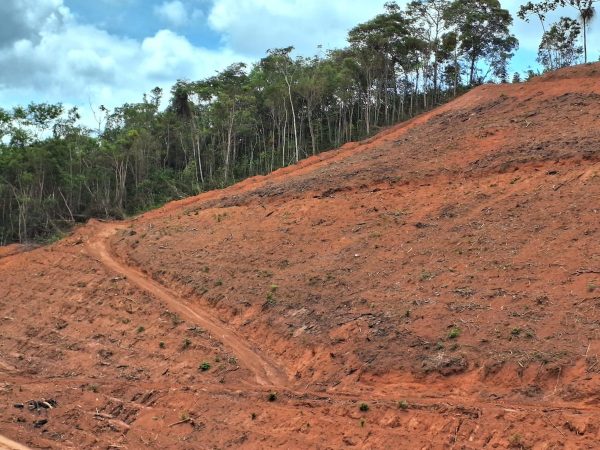 Polícia fiscaliza área nativa e aplica mais de R$ 320 mil em multa por desmatamento irregular | Vales de Minas Gerais