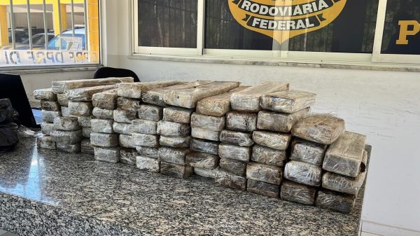 PRF apreende 45 kg de maconha escondidos às margens da BR-262 em Manhuaçu | Vales de Minas Gerais