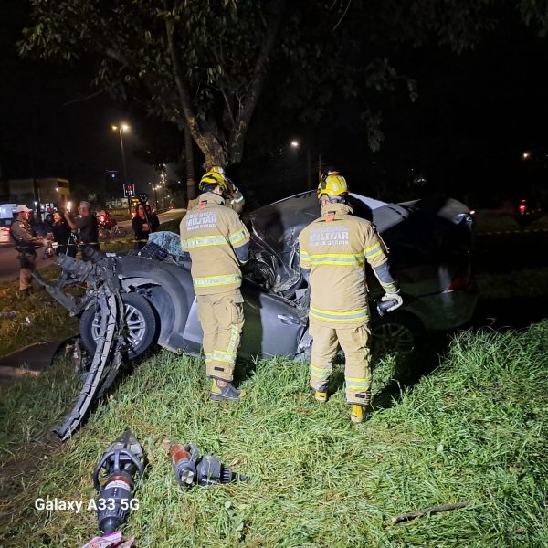 Jovem morre e dois ficam feridos após carro bater contra uma árvore, em Ipatinga