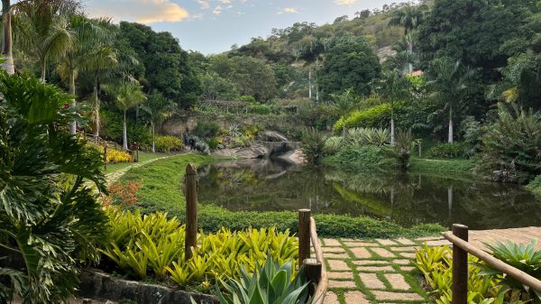 'Ele saiu de Aimorés, mas Aimorés nunca saiu dele': a história de amor entre Sebastião Salgado e sua terra natal