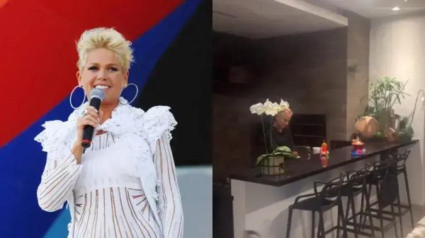 Xuxa Meneghel compartilha vídeo inusitado alimentando morcegos em casa